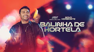 Mano Walter  Balinha de Hortelã Clipe Oficial [upl. by Aloiv]