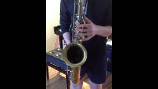 Selmer Mk VII Tenor Sax [upl. by Ominorej]