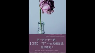 “不”，你真的读对了吗？自然而然说中文 161：【正音】“不”什么时候变调，你知道吗？｜发音｜普通话｜china chinese learnchinese [upl. by Naghem]