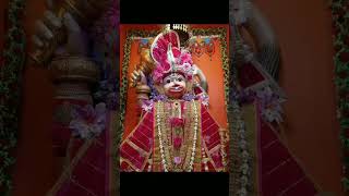 🙏 only daily Saturday Darshan jiragadh rokadiya dada YouTube channel [upl. by Kester]