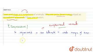 Cows and dogs are eurythermal animals Why are polar bears categorised as stenothermal animals [upl. by Arika]