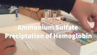 Lab 2  Hb precipitation by ammonium sulfate [upl. by Gustavus]