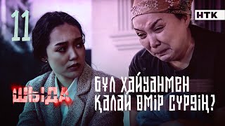 ШЫДА  11 серия  Ақша таппасаң  ренжіме  ЖАҢА СЕРИАЛ [upl. by Rambort]