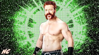 WWE quotWritten In My Facequot w Hellfire Intro Sheamus 2024 NEW Theme Song Arena Effect  ᴴᴰ [upl. by Mayce]