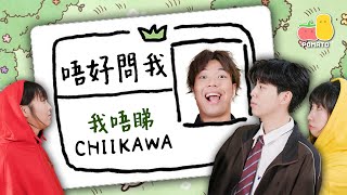 【Chiikawa】唔好問我！我從來唔睇Chiikawa 🙈｜Pomato 小薯茄 [upl. by Territus]