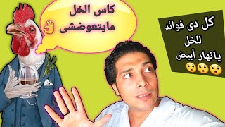 أهمية الاحماض العضوية فى الدواجنAcidifier in chicken [upl. by Mapel]