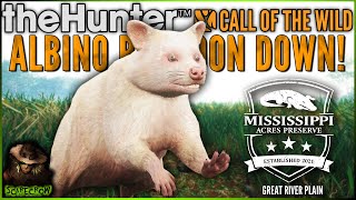 ALBINO RACCOON DOWN Using Green Polymer Rifles On Mississippi Acres Preserve Call of the wild [upl. by Edward]