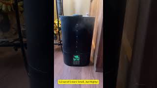 6L Humidifiers for Bedroom Large Room Home [upl. by Bonnie]