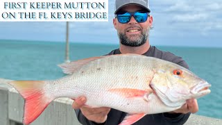 the BEST FL KEYS bridge FISHING TRIP my first KEEPER MUTTON on the BRIDGE mustwatch [upl. by Emanuel]