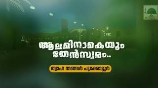 Thwaha thangal new songbest for status [upl. by Panthia]