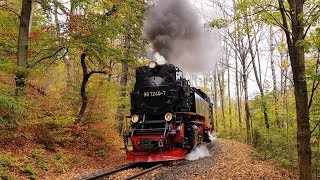 Herbst an der Brockenbahn 2018  Atemberaubende Tunneldurchfahrt [upl. by Joe]