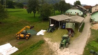 Corn Silage 2020  Chopping Corn and Filling Silage Pits  Corn Silage on a Small Dairy Farm [upl. by Albemarle947]