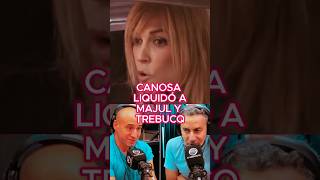 CANOSA LIQUIDÓ A PERIODISTAS CHUPAMEDIAS DE MILEI canosa milei majul trebucq chupamedias [upl. by Hoehne565]