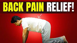 Daily Exercise for BACK PAIN  15Min Workout at home  Saurabh Bothra [upl. by Ardnekan]