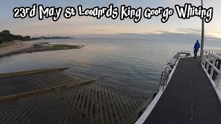 May 2024  Ep 4  St Leonards King George Whiting [upl. by Aner]