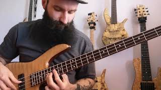 Hiatus Kaiyote  Red Room bass cover [upl. by Asuncion]