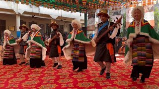 Celebrating 10 December Gyalsey Toelutibet tibetan dance gorshey majnukatillanobelprize [upl. by Chlores]