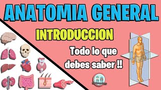 INTRODUCCIÓN A LA ANATOMÍA  Conceptos Básicos MEJOR EXPLICADO [upl. by Adnirual509]