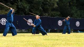 Meiji Jingu Kobudo Demo 2011  Yagyu Shingan Ryu 柳生心眼流 [upl. by Nnaitak]