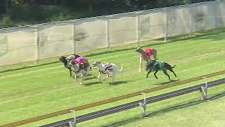 CapalabaWednesday18092024Race3 [upl. by Tibold]