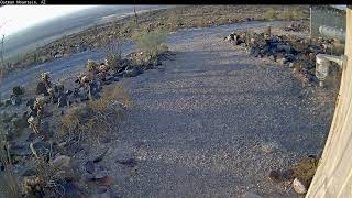 Timelapse Video of Oatman Mountain 20241206 [upl. by Arbmahs]