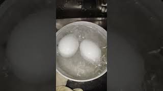 Egg Boil Recipe shorts islamic islamicstatus hadeesnabvi youtubeshorts urduquotes [upl. by Jennica]