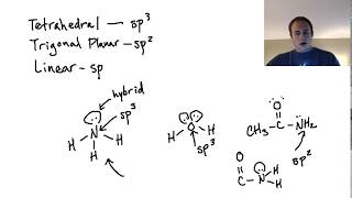 Are Lone Pairs in Hybrid Orbitals sp2 confusion [upl. by Yrnehnhoj784]