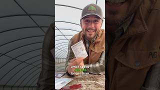 Seed starting tips seeds seedstarting springgarden gardening [upl. by Duval]