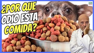 🔴 MI OPINIÓN SOBRE EL PIENSO O COMIDA CASERA PARA PERROS 🔴 [upl. by Ahsotan673]