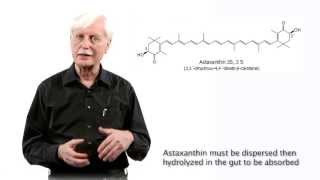 Astaxanthin Dosing More is Not Always Better [upl. by Lemaj]