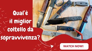 Qual’è il miglior coltello da sopravvivenza [upl. by Enajaras]