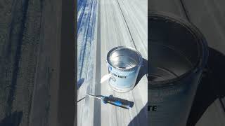 We PAINTED this Entire Roof with Silver Brite and Got AMAZING Results [upl. by D'Arcy]