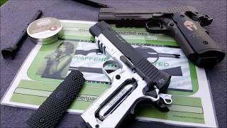 Sig Sauer quotMax Michelquot 45 mm SBB Co2Schusstest amp ProblemBehandlung by WPU [upl. by Orin]