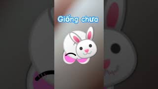 SannyYunn giống chưa  2024 [upl. by Ttenyl]