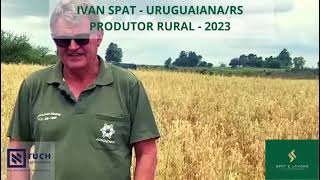 plantaçao de Aveia em UruguaianaRS  2023  Ivan Spat [upl. by Nilek]