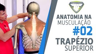 Encolhimento de Ombros  Trapézio Superior  Anatomia na Musculação 2 [upl. by Nealey826]