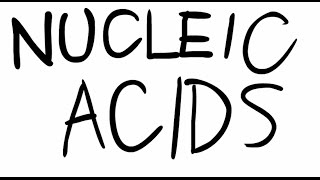 LifeWithJuan  The Nucleic Acids Song [upl. by Jammin]