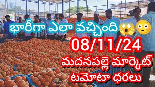 081124 Madanapalle Tomato Market price Today  Today Tomato Market Rate in Madanapalle today [upl. by Paucker]