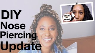 DIY Nose Piercing Update  Using The Amazon Nose Piercing Kit [upl. by Tingley]