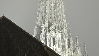 Österreichische Bundeshymne im Wiener Stephansdom am Nationalfeiertag 2024 [upl. by Mcspadden564]