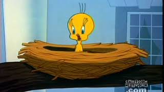 I Tawt I Taw a Puddy Tat Tweety Compilation [upl. by Reggi158]