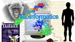 Bioinformatics part 1 What is Bioinformatics [upl. by Irrek]