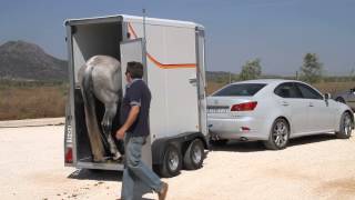 Carro  Remolque transporte 1 caballo [upl. by Shreeves]