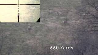 Long Range Whitetail Deer Hunt 65 Creedmoor690 Yards [upl. by Ttennaj]