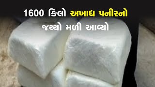 Rajkot News 1600 કિલો અખાદ્ય પનીરનો જથ્થો મળી આવ્યો  RMC Food Authorities Seized 1600 Kg Paneer [upl. by Yelekreb]