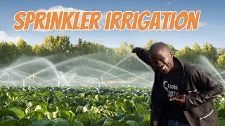 Installing Sprinkler irrigation system using simple materials [upl. by Champaigne564]