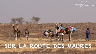 Avant le film Mauritanie le clip [upl. by Bertrand]