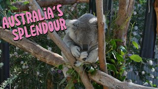 Song for Australias Splendour  Tribute to the Land Down Under [upl. by Valry]