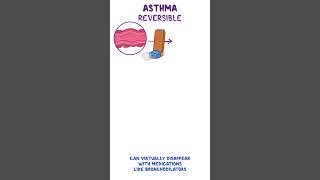 Clinical Cuts Asthma [upl. by Cusick120]