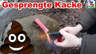 Gesprengte Kacke  Ekelhaftes Silvester Feuerwerk  Knaller Vlog TipTapTube [upl. by Aicirt]